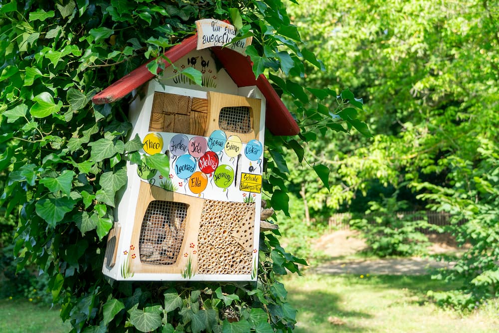 vogelhaus-wurzelhaus