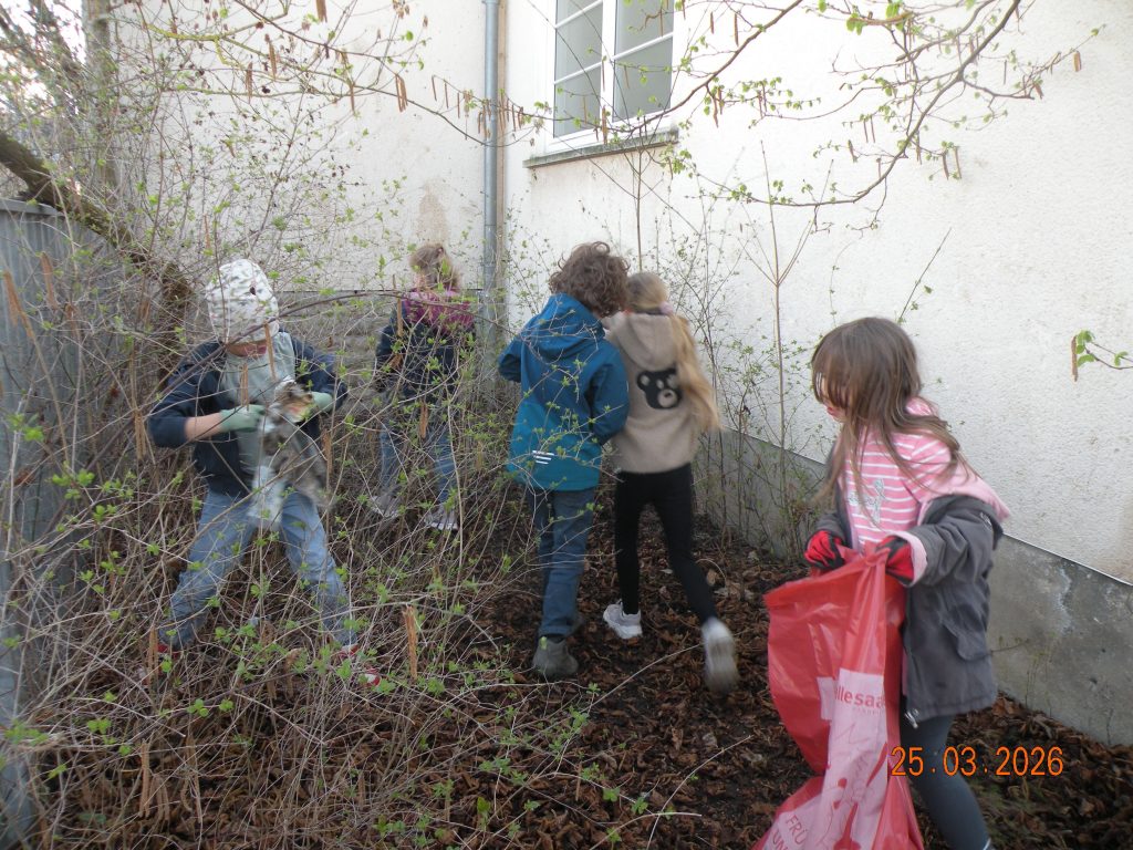 Frühjahrsputz - HF1